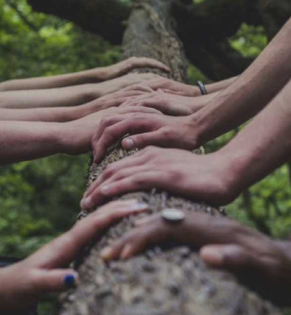 habit change - social support
